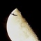 flight across the moon 2