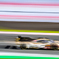 FIA WEC 6 Hours of Fuji 2024