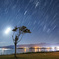 東郷湖の夜