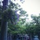 photo_1262424