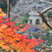 成田山