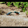 Screenshot_20240930-172744