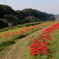 矢部川河川敷