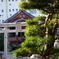 松と神社