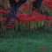 花　その254
