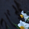 つつじ