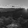宝登山