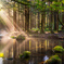 Autumn light