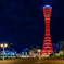 The tower