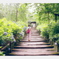 あじさい寺