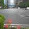 東京都心は雨