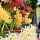 賑やかな花園