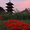 五重塔×彼岸花