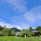 DSCF1910