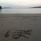 折古ノ浜にぽを書く人