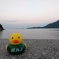折古ノ浜とアヒル