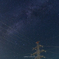 夜空に生える