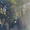 鎌倉散歩1