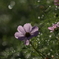 A7C00822