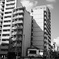 DSC_4395