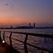 東扇島東公園1