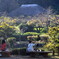公園で、秋を楽しむ人たち