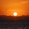 RED SUN