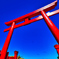 青空に映える元乃隅神社の赤い鳥居