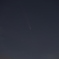 紫金山•アトラス彗星