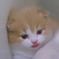 新たな命