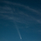 紫金山・アトラス彗星