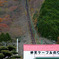 紅葉先取りⅤ
