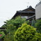 DSC06667