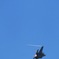 2024.9.8 航空祭