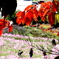 紅葉と花畑