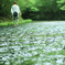GREEN色Ⅲ