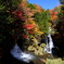 龍頭の滝（全景）