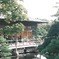 由志園③