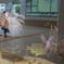 街角水族館