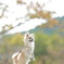 あっ！お友だちかなー♬