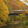 紅葉路をゆく