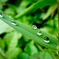 雨上がり