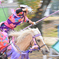 世界流鏑馬選手権