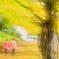 秋色の散歩道