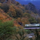 夕方の紅葉と明かりと列車