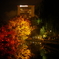 中島公園 紅葉