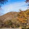 赤城山06　地蔵岳　2024.10.31