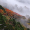 大雲海の日の石鎚山