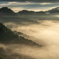 The Fog