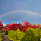 冷たい雨に打たれて